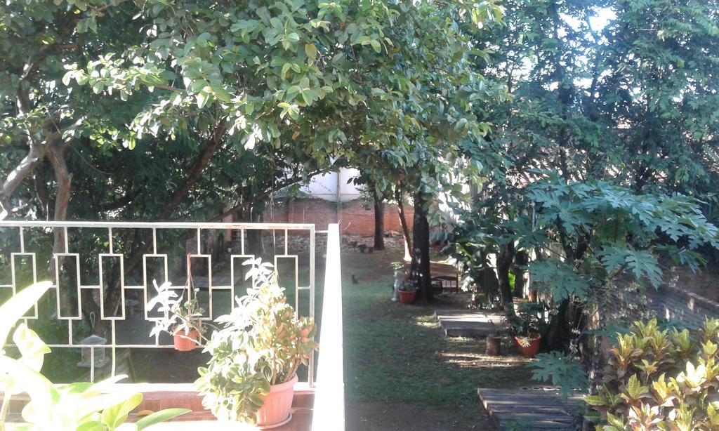 La Casa De Pedro Hostel Енкарнасьйон Екстер'єр фото